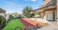 19 Burrora Way Craigieburn VIC 3064