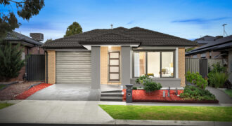 24 Macalister Grove, Cobblebank, Vic 3338